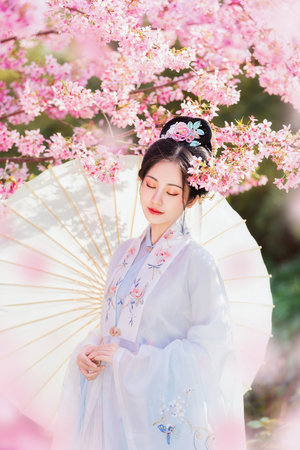 斗罗大陆动漫高清免费观看