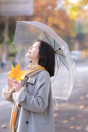 一眉道人修复版